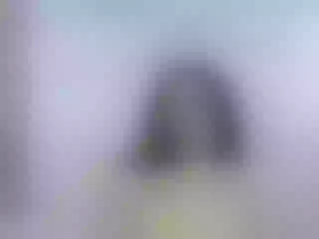 Live sex webcam photo for nikiluch #277405205