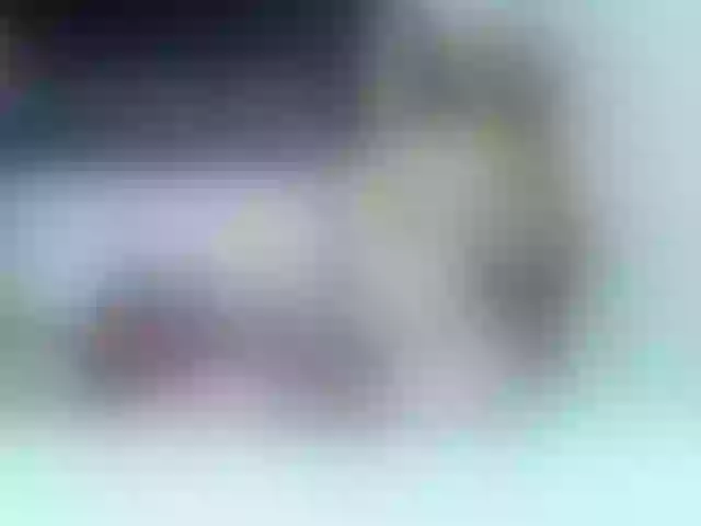 Live sex webcam photo for nikol-32 #281836085