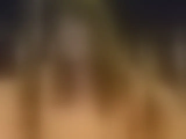 Live sex webcam photo for nimfastar77 #292580940
