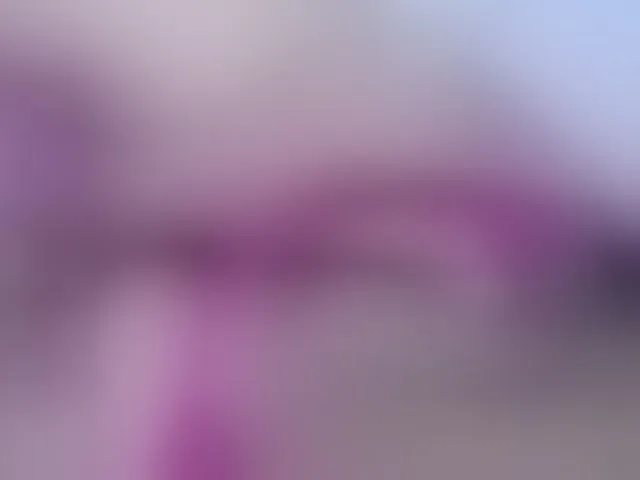 Live sex webcam photo for ninatinydoll #292835824