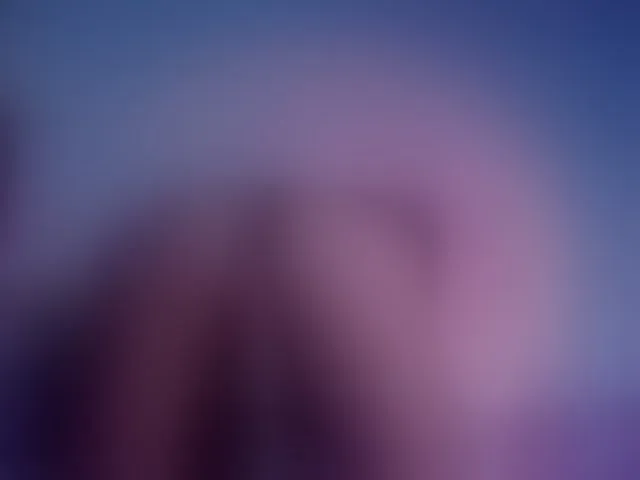 Live sex webcam photo for nohax-peter #291448357