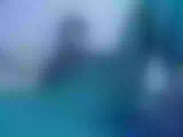 Live sex webcam photo for nohax-peter #291986917