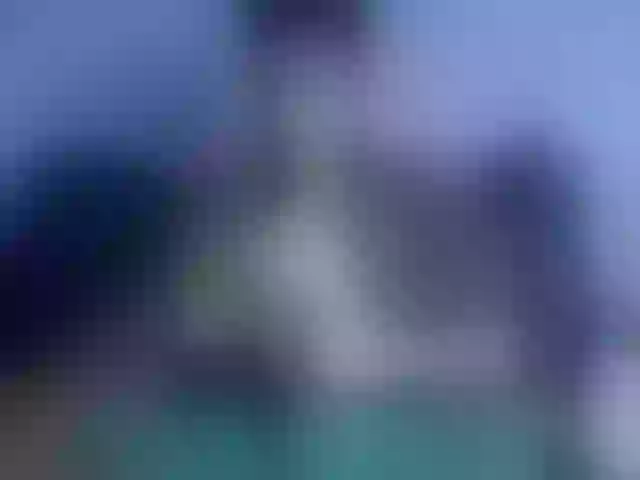 Live sex webcam photo for nohax-peter #291993840