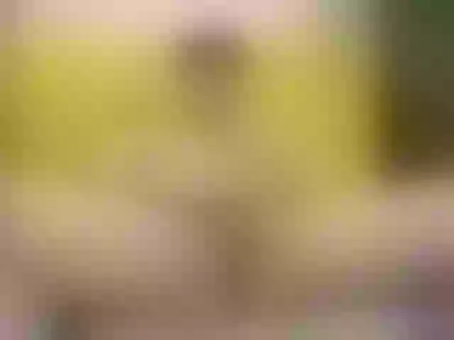 Live sex webcam photo for nolan-twink1 #290029820