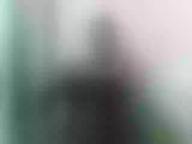Live sex webcam photo for nomenen #292080858