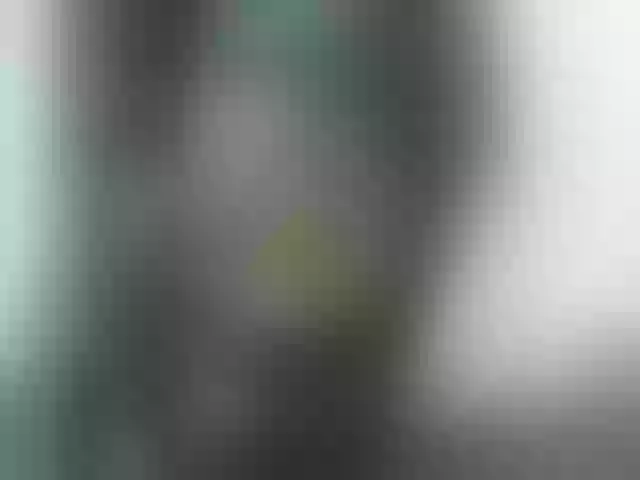 Live sex webcam photo for nomenen #292122749