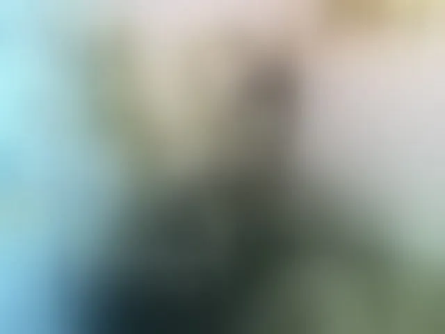 Live sex webcam photo for nomenen #292480856