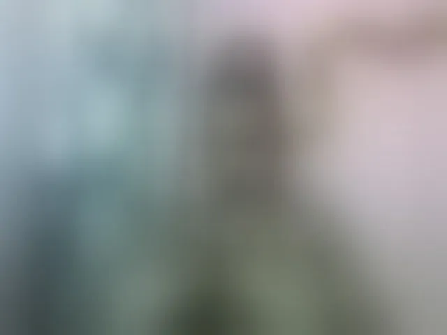Live sex webcam photo for nomenen #292617062