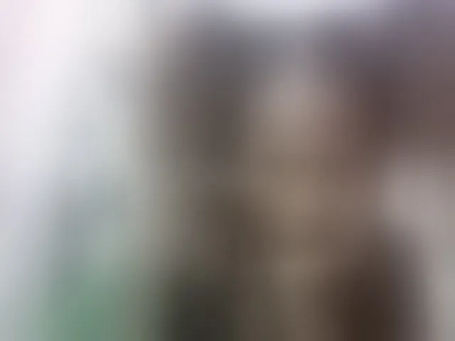 Live sex webcam photo for nomenen #292711653