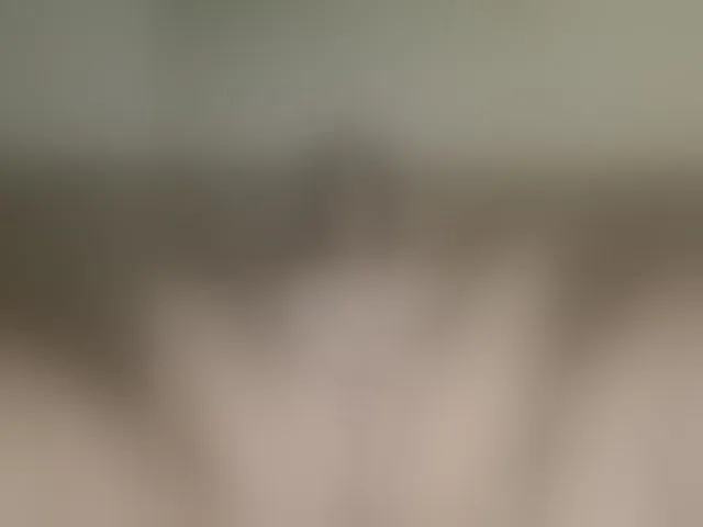 Live sex webcam photo for orianastevens #277037550