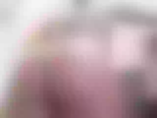 Live sex webcam photo for osalovelyy #290739545