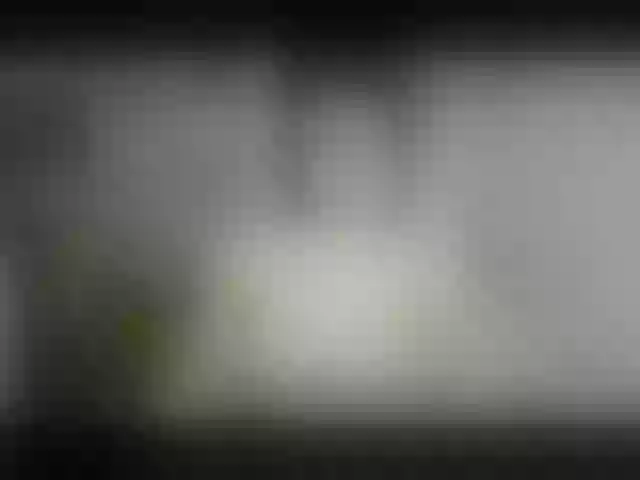 Live sex webcam photo for osamimiko #276604599