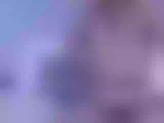 Live sex webcam photo for ossirin #277290926