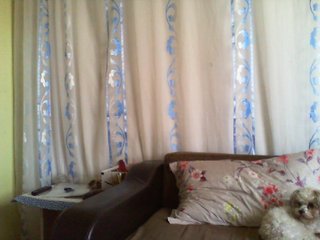 Live sex webcam photo for ozlemyilmaz23 #204730268