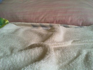 Live sex webcam photo for ozlemyilmaz23 #210962794