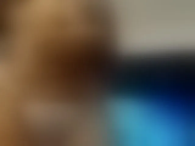 Live sex webcam photo for pamelafit #292558860