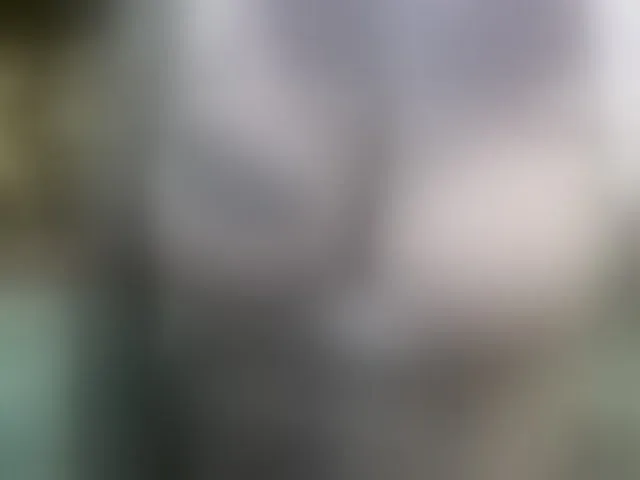 Live sex webcam photo for pamelagunns #293912529