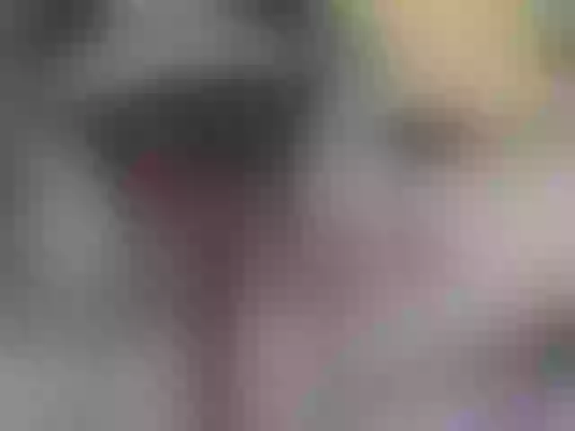 Live sex webcam photo for pamelaklein #277747043
