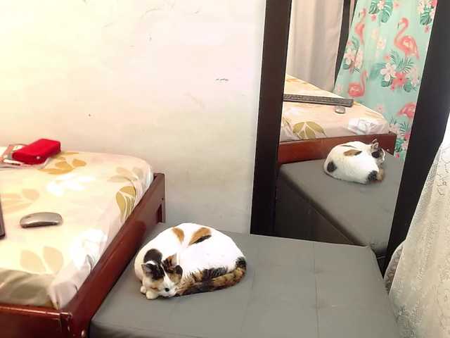 Live sex webcam photo for pamelavasquez #291800907