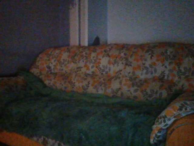 Live sex webcam photo for para343411 #276714514