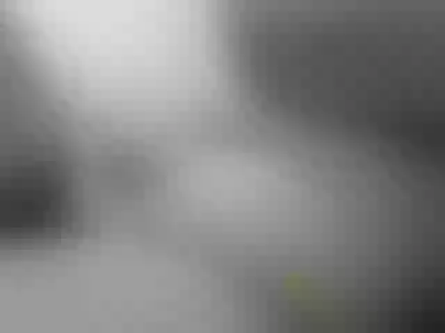 Live sex webcam photo for paradisehairy #290511568