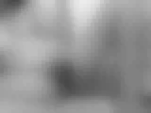 Live sex webcam photo for paradisehairy #290559388