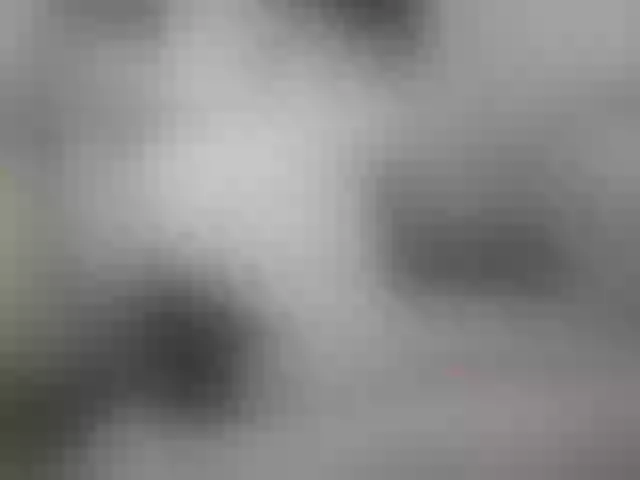 Live sex webcam photo for paradisehairy #290566451