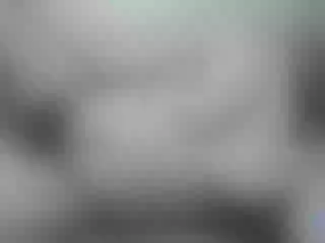 Live sex webcam photo for paradisehairy #290646253