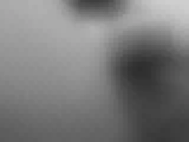 Live sex webcam photo for paradisehairy #290675050