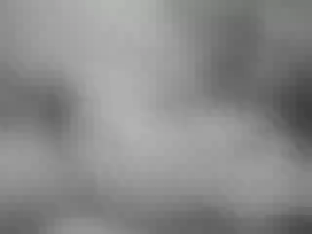 Live sex webcam photo for paradisehairy #290682626