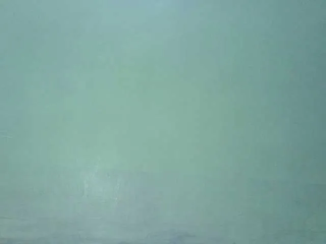 Live sex webcam photo for paradisehairy #290811420
