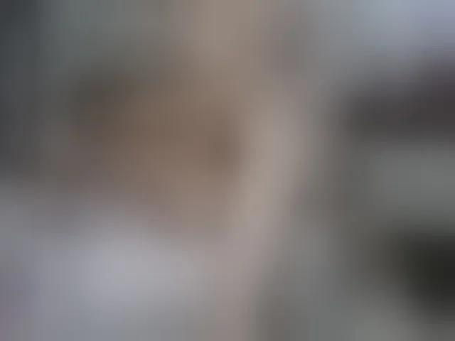 Live sex webcam photo for partnerthot2023 #291379977