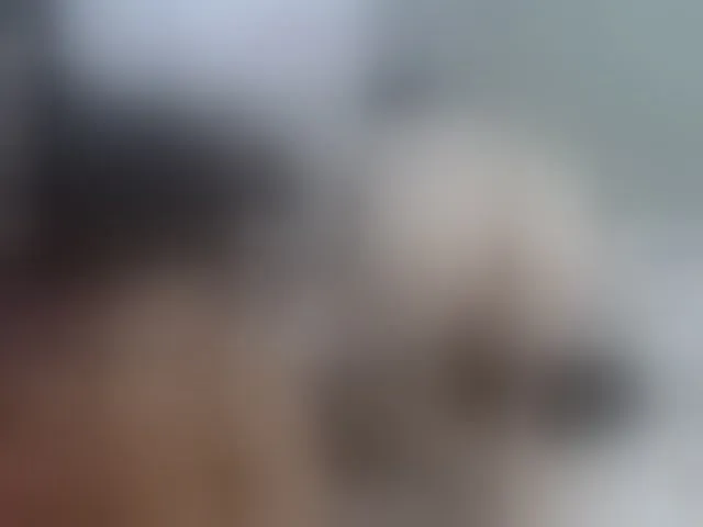 Live sex webcam photo for partnerthot2023 #291544314