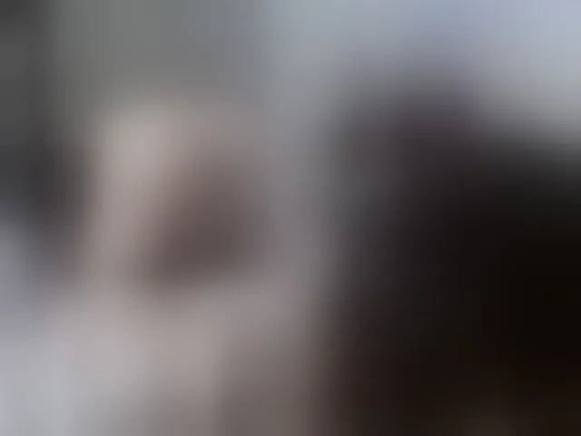 Live sex webcam photo for partnerthot2023 #291578709