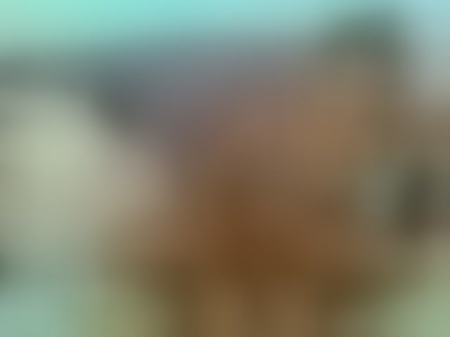 Live sex webcam photo for partyduotrans #293714974