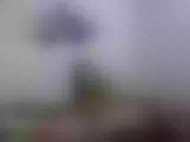 Live sex webcam photo for passionlatin6 #272336151