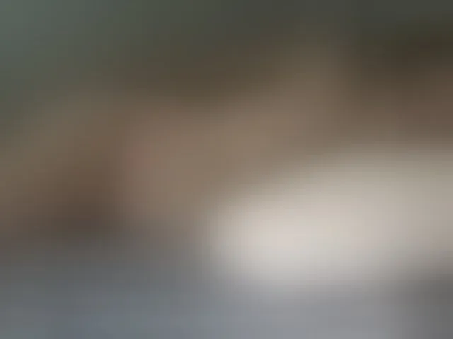 Live sex webcam photo for paula19801 #293911038