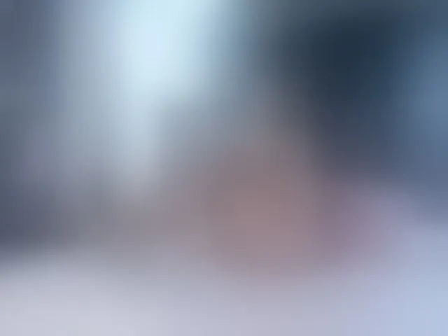 Live sex webcam photo for paultte #293955343