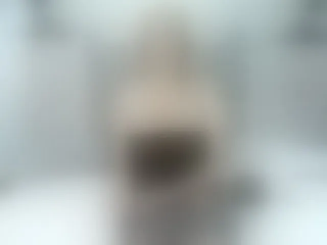 Live sex webcam photo for paultte #293988286