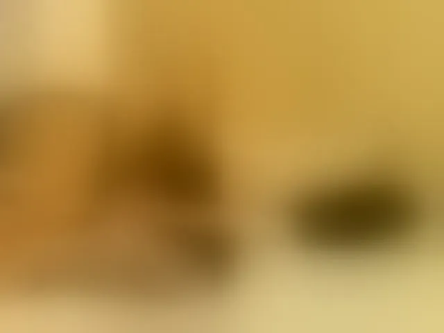 Live sex webcam photo for paultte #294037024