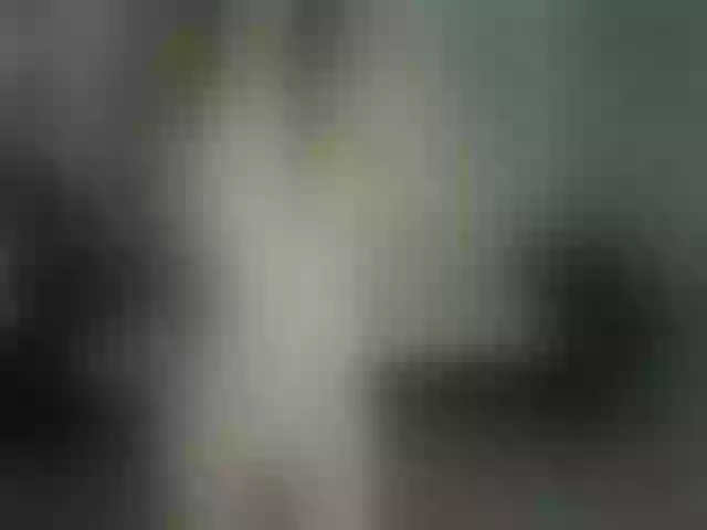 Live sex webcam photo for peachwinne #291229063