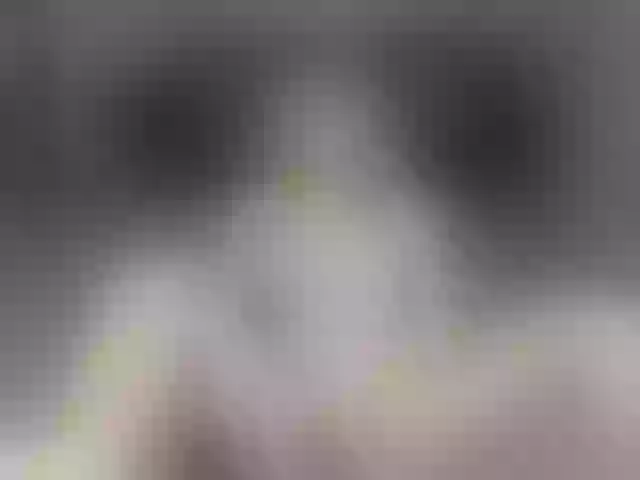 Live sex webcam photo for peachwinne #291782865
