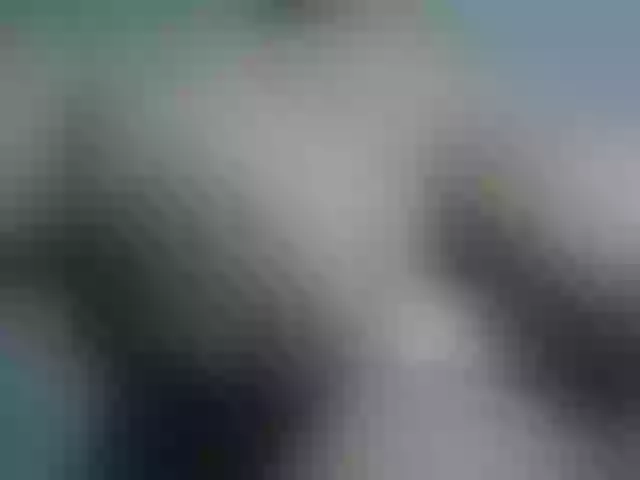 Live sex webcam photo for penny-ebonny #277152602