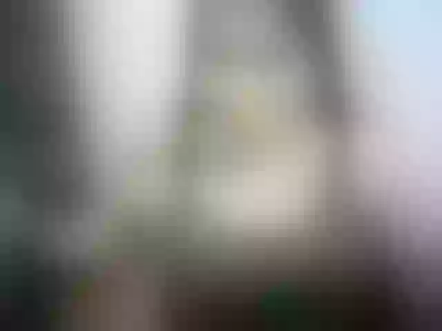 Live sex webcam photo for perfect-smile #272672316