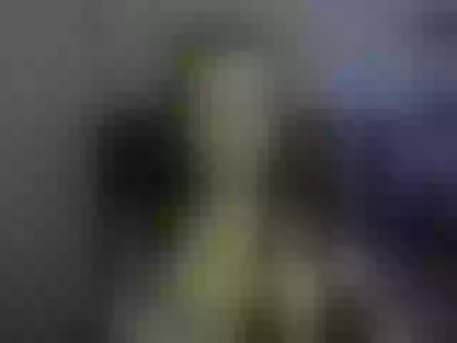 Live sex webcam photo for perfectKate #292000981