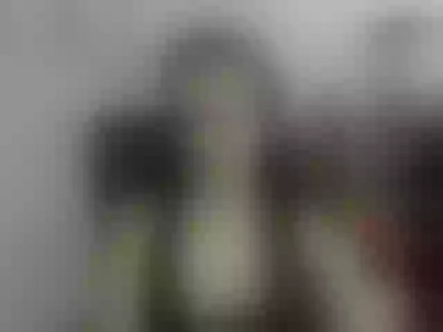 Live sex webcam photo for perfectKate #292189153