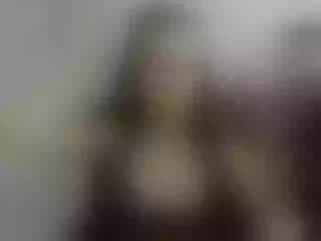 Live sex webcam photo for perfectKate #292282414