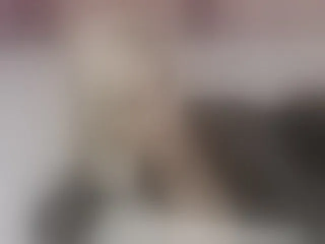 Live sex webcam photo for persiaa1 #292454673