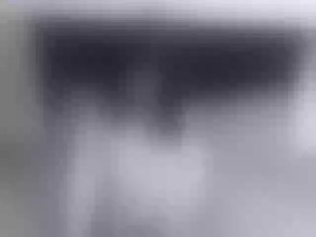 Live sex webcam photo for petite-paola #291406832
