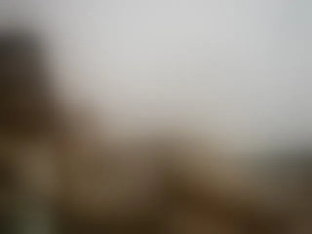 Live sex webcam photo for petite-tasha #291442966